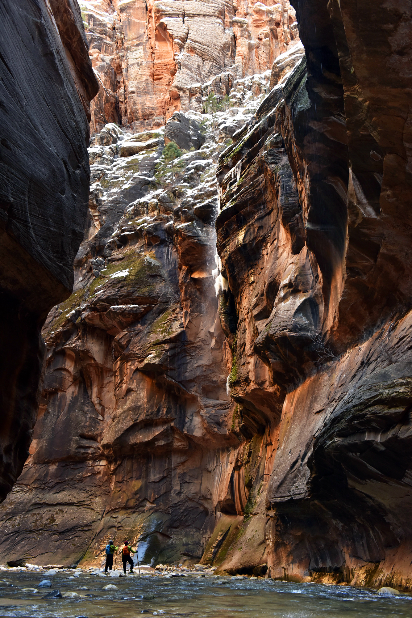 The St. George Narrows - Navigational Challenges, Ecological Gems, and Maritime Heritage